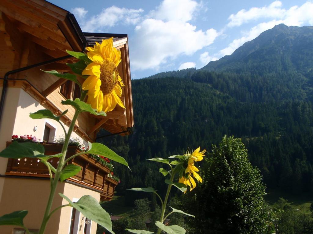 Arche Hof Oebristhof Kleinarl Exterior foto